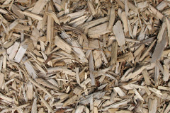 biomass boilers Park Broom